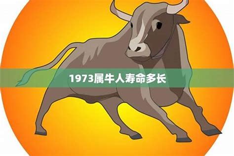 1973生肖牛|【1973牛】揭開1973年牛寶寶的五行之謎！屬牛人生運勢大公開